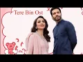 Download Lagu Tere Bin - OST - ft. Yumna Zaidi, Wahaj Ali - Shani Arshad