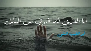 أنا الغريق فما خوفي من البلل   أبو الطيب المتنبي   الادب العتيق دندنها