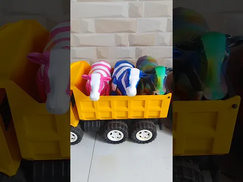 Sapi Belang Pink Putih