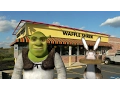 Shrek s Day Out
