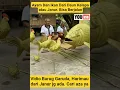 Download Lagu Ikan dan Ayam Dari Janur Kelapa bisa jalan