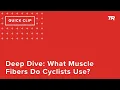 Deep Dive What Muscle Fibers Do Cyclists Use Ask a Cycling Coach 316