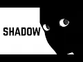 Why Do We Know ALMOST NOTHING About Our Own SHADOW
