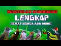 Download Lagu 2 jam materan lengkap hemat puluhan juta full materi mewah cocok untuk isian #masteranmuraibatu MP3