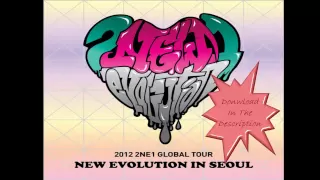 Download 2NE1 Follow Me (Live In Seoul) New Evolution MP3