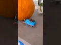 Thomas vs Pumpkin! 🎃 #thomasandfriends #halloween