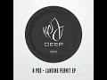 Landing Permit (Extended Mix)