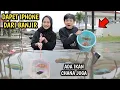 Download Lagu RUMAH KEBANJIRAN DESMA RIO MALAH PACARAN DAPET IPHONE