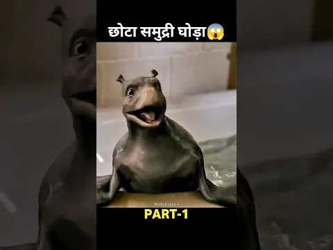 लड़के ने पाला समुद्री घोड़ा😱 #shorts