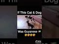 Download Lagu If cat and dog was Guyanese