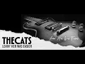 The Cats - Lovin' Her Was Easier
