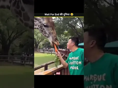 Animals Funny Video 😂|| #shorts