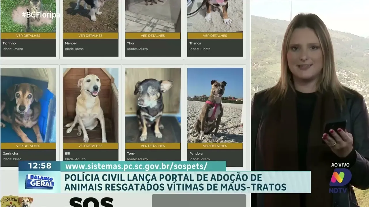 Polícia Civil lança portal para adoção de animais resgatados de maus-tratos
