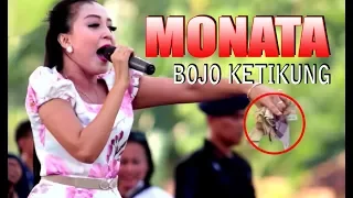 Download BOJO KETIKUNG MONATA Terbaru ROCKER MANIA MP3