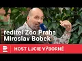 Download Lagu Miroslav Bobek: Gorily jsou jen trochu jiní lidé. Ve zvířatech je víc, než si myslíme