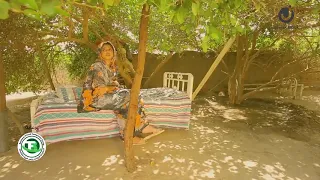 دغوتات اجمل مشهد رقية والم ر 