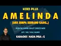 Download Lagu Amelinda - Koes Plus (KARAOKE) nada pria G