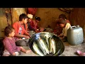 Download Lagu dharme brother family cooks FISH for the lunch || rural Nepal || @ruralnepall