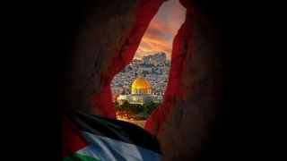من أجل فلسطين  نجمة موريتانيا المعلومه منت الميداح تغني  لكم  موريتانيا  فلسطين  القدس  غزة دندنها