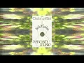 Chaitanya Hari (Deuter) - Solo Guitar