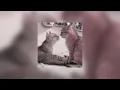 SZA - Good Days (Sped up)