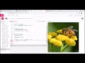 Creating an image filter that increases randomness along the Y-axis - p5 js Let s Code