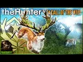 HE SPAWNED Taking The Great One Red Deer With The Red Raptor 6 5 Rayo Call of the wild