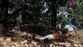 مسلسل ملكه جانسي الجزء الاول الحلقه 70 