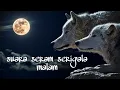 Download Lagu Suara Serigala di malam hari dan suara petir, seram dan menakutkan