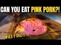 Can You Eat Pink Pork I Cooked Tenderloin to 63 5 C on the Weber