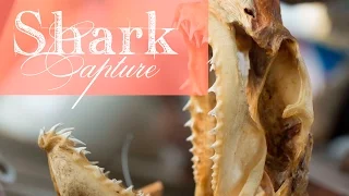 3 YR OLD CATCHES A SHARKS – Florida Keys | SMLS The Beginning