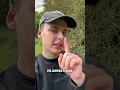 Download Lagu Forskel på hvepse og bier!? 🐝👀 #dansk