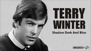 Terry Winter  -  Shadow Dark And Blue
