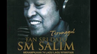 Download SM Salim - Selamat Tinggal Bungaku (Official Audio Video) MP3