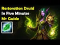 Restoration Druid 5-Minute Beginner s Guide for M Midnight Season 1