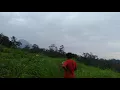 Download Lagu permadangan indah desa sekarjoho