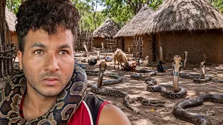 Africa’s snake village 🇬🇭 ऐसा गांव जहाँ साँपों के साथ रहते हैं लोग In Ghana