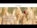 Cling to Jesus Our Daily Bread Devotional November 12 2023