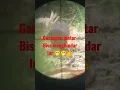 Download Lagu ngarangan pintar#shortvideo #berburu #shorts #garangan