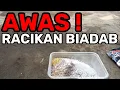 Download Lagu RACIKAN BIADAB ! LANGSUNG BUKPAR ! CIGUN PASTI CEPAT NGRIWIK NGEBREN DENGAN RACIKAN PAKAN INI.