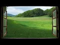 Relaxing Spring Green Hills Through the window with Wind Sounds