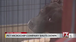 Impact of pet microchip company s closure in central NC