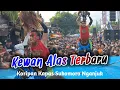 Lagu KEWAN ALAS TERBARU 2026 - Jaranan ROGO SAMBOYO PUTRO | Koripan Kapas Sukomoro Nganjuk
