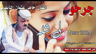 جوجو لي سله الفنان حامد عثمان التايقر New 2024 