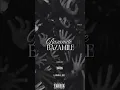 BAZAMILE by Linn Lee