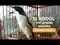 Download Lagu SIKODOL THE LEGEND CENDET MADURA | Sahabat Kicau