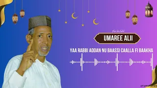 Umaree Alii Yaa Rabbi Addan Baassi Caalla Fi Baakha Manzuma Afaan Oromoo 2024 