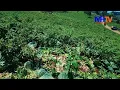 Download Lagu SHOLAWAT VERSI KELOAS JAIPONG KOPLO || MUTIARA HAT TV RPJ