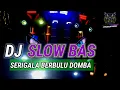 Download Lagu DJ SERIGALA BERBULU DOMBA‼️ SLOW BAS TERBARU 2024