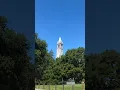 A Love Letter to UC Berkeley Campus